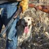 AD Pheasant Hunt 161