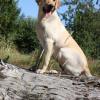 AD -- such a pretty girl!