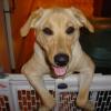 Kimberlee (8 mos), Illinois