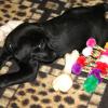 Grace meets her new toys
