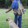 FF Bonnie and intro to lines 074