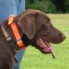 Collar conditioning