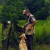 Haley and Bill waiting to go to the line at a hunt test