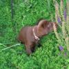 Checking out the garden
