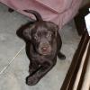 Seven weeks old and ready to go home!