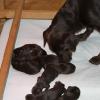 So this is motherhood...