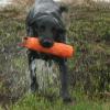 A successful blind retrieve