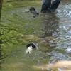 Lumen & Lottie:  first intro to water