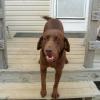 Hanging out on the front porch