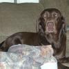 Maggie relaxing
