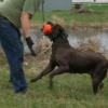 Maggie loves her work!