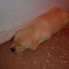 All worn out!
