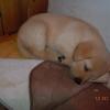 Nap time