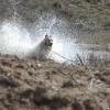 Big splash!