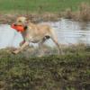 Returning from a blind retrieve
