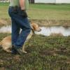 Locked in on a blind retrieve