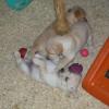 Playtime!