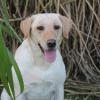 Shelby and China Grass 001