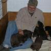 Bill with Puppies