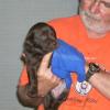 Bill with a Puppy