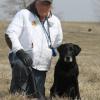 Marv Baumer and Dealer