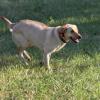 And it's a beautiful day for a romp!