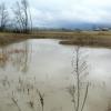 Our first pond