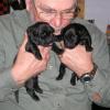 Bill, holding 2 week old puppies