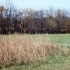 Training Grounds and native prairie grasses