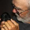 Ziva's second black pup -- a male